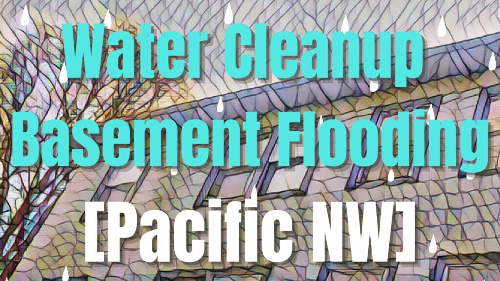 Flooded Apartment Basement